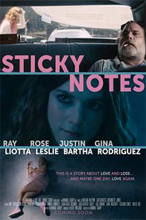 Návrat domů  - Sticky Notes