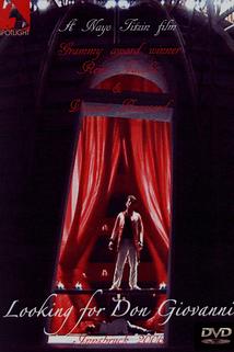 Profilový obrázek - Looking for Don Giovanni