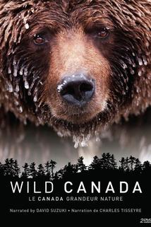 Profilový obrázek - Wild Canada
