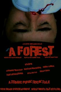 Profilový obrázek - A Forest