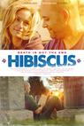 Hibiscus (2015)