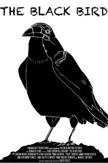 Profilový obrázek - The Black Bird