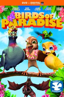 Profilový obrázek - Birds of Paradise