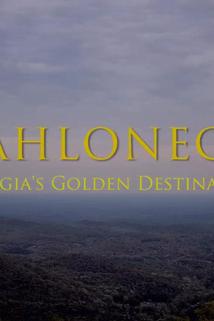 Profilový obrázek - Dahlonega: Georgia's Golden Destination