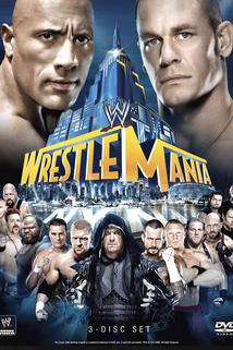 Profilový obrázek - WrestleMania 29