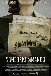 Profilový obrázek - SK: Sonderkommando
