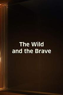 Profilový obrázek - The Wild and the Brave