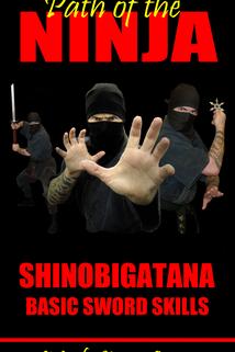Profilový obrázek - Path of the Ninja: Shinobigatana Basic Sword Skills