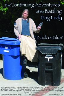Profilový obrázek - The Continuing Adventures of the Battling Bag Lady: Black or Blue