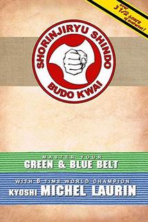 Kyoshi Michel Laurin Prepares You for Green & Blue Belt
