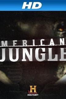 Profilový obrázek - American Jungle