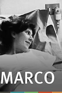 Profilový obrázek - Marco