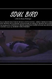 Profilový obrázek - Soul Bird