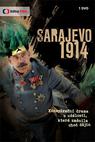 Sarajevo 1914 (2014)