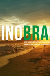 Profilový obrázek - Destino Brasil 2014