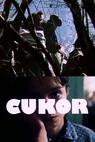 Cukor (1982)