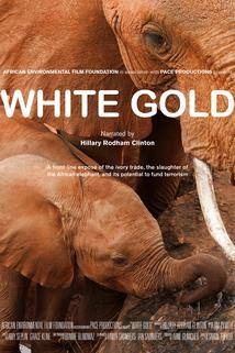 Profilový obrázek - White Gold