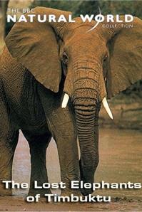 Profilový obrázek - The Lost Elephants of Timbuktu