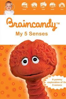 Profilový obrázek - Braincandy: My Five Senses