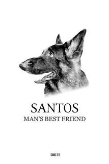 Profilový obrázek - Santos ()