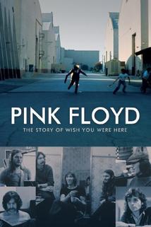 Profilový obrázek - Pink Floyd: The Story of Wish You Were Here