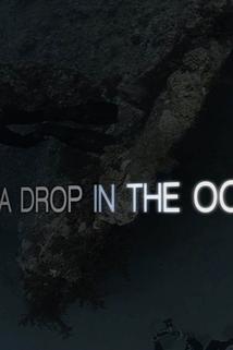 Profilový obrázek - A Drop in the Ocean