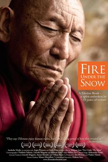 Profilový obrázek - Fire Under the Snow