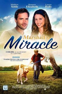 Profilový obrázek - Marshall the Miracle Dog