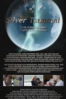 Profilový obrázek - Silver Tsunami
