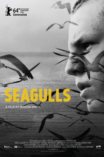 Profilový obrázek - Seagulls
