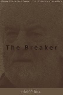 Profilový obrázek - The Breaker