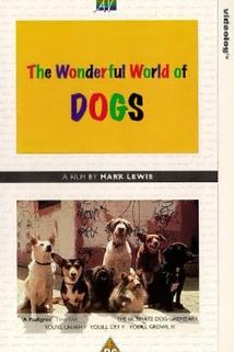 Profilový obrázek - The Wonderful World of Dogs