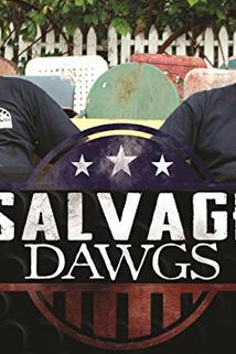 Profilový obrázek - Salvage Dawgs