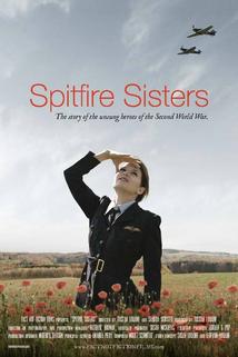 Profilový obrázek - Dámy na Spitfirech