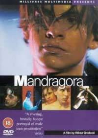 Profilový obrázek - Mandragora