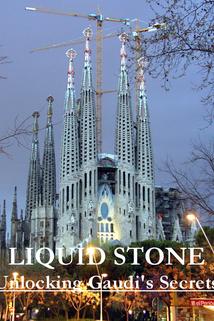 Profilový obrázek - Liquid Stone: Unlocking Gaudi's Secrets
