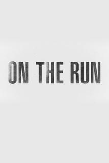 On the Run Tour: Beyonce and Jay Z