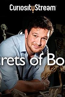 Profilový obrázek - Secrets of Bones