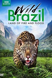 Profilový obrázek - Wild Brazil
