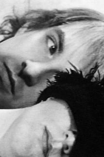 Profilový obrázek - Elevator