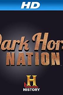 Profilový obrázek - Dark Horse Nation