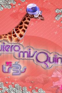 Profilový obrázek - Quiero mis quinces ()