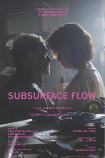 Profilový obrázek - Subsurface Flow