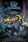 Malý navigátor (1986)