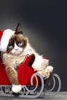 Grumpy Cat's Worst Christmas Ever 