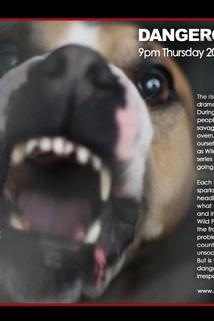 Profilový obrázek - Dangerous Dogs