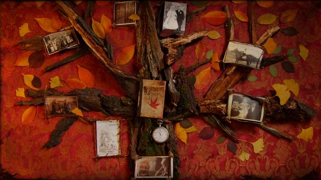 Felvidék – Horná zem