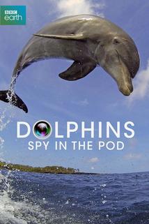 Profilový obrázek - Dolphins: Spy in the Pod