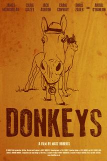 Profilový obrázek - Donkeys