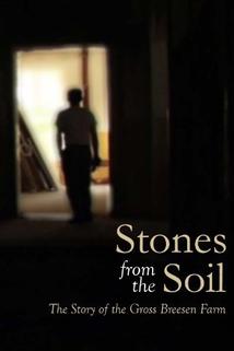 Profilový obrázek - Stones from the Soil